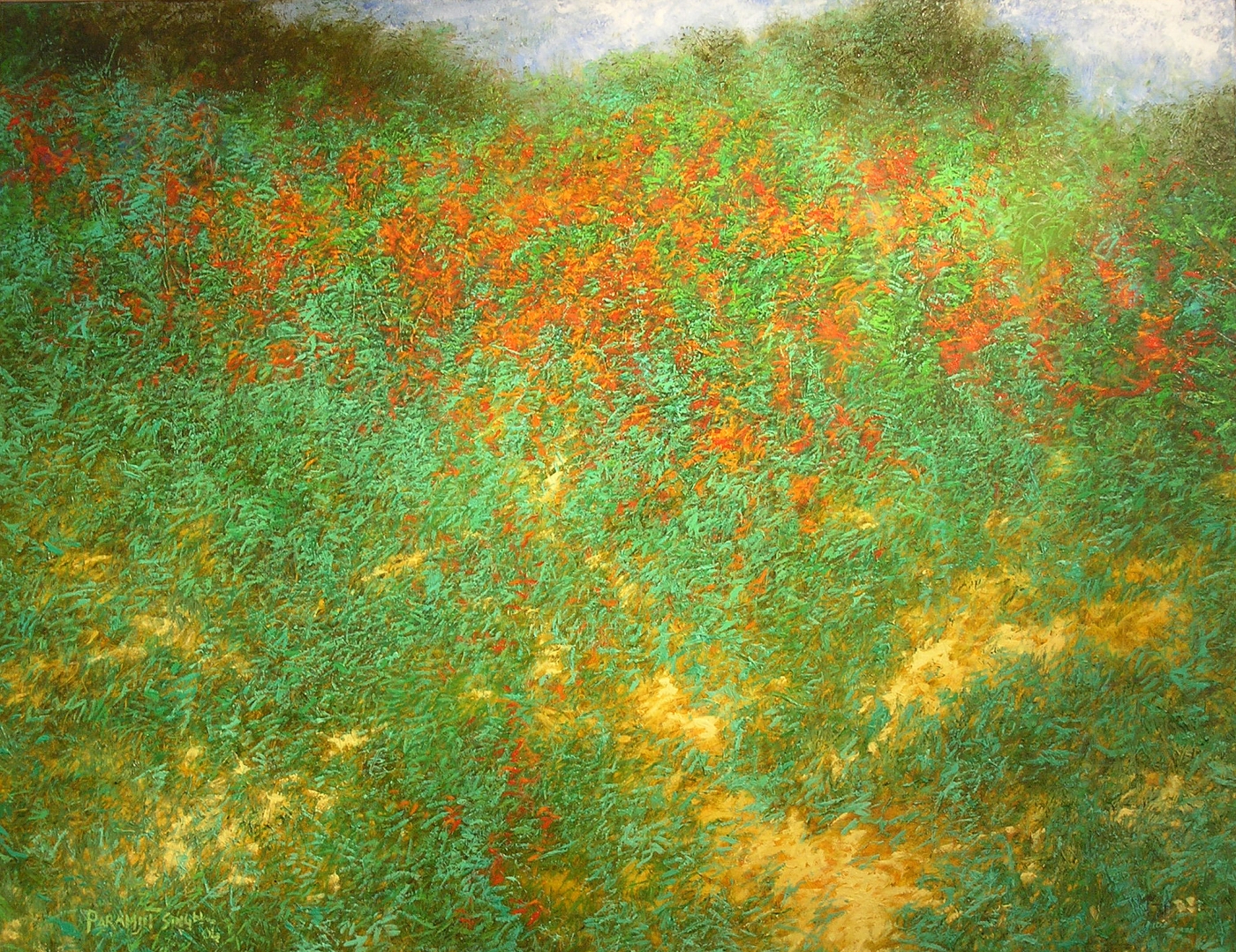 Red Bloom, 2004

Oil on canvas&nbsp; 60&Prime; x 78&Prime;

&nbsp;