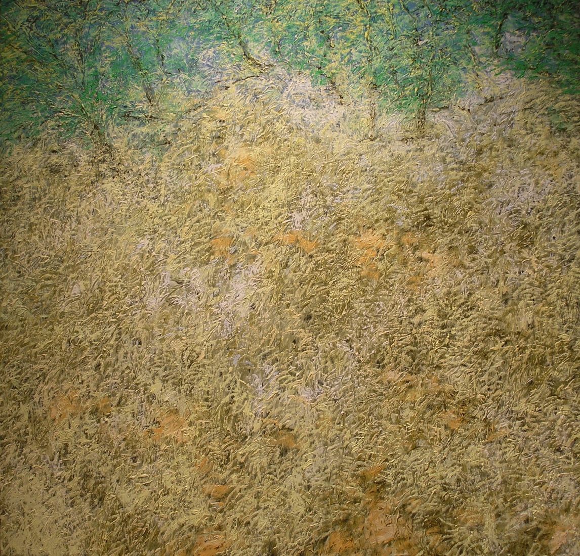 White Grass, 2004&nbsp; Oil on canvas&nbsp; 48&quot; x 48&quot;